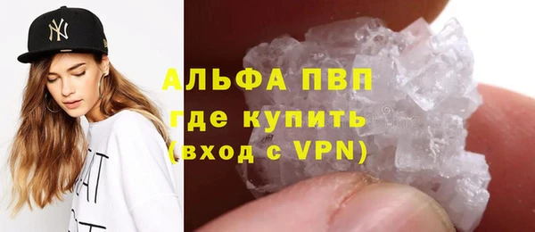 СК Бородино