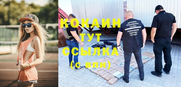 кокс Богородицк