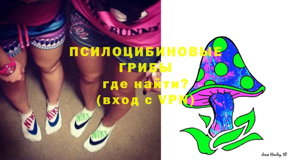 PSILOCYBIN Елизово