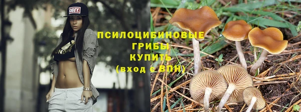 СК Бородино